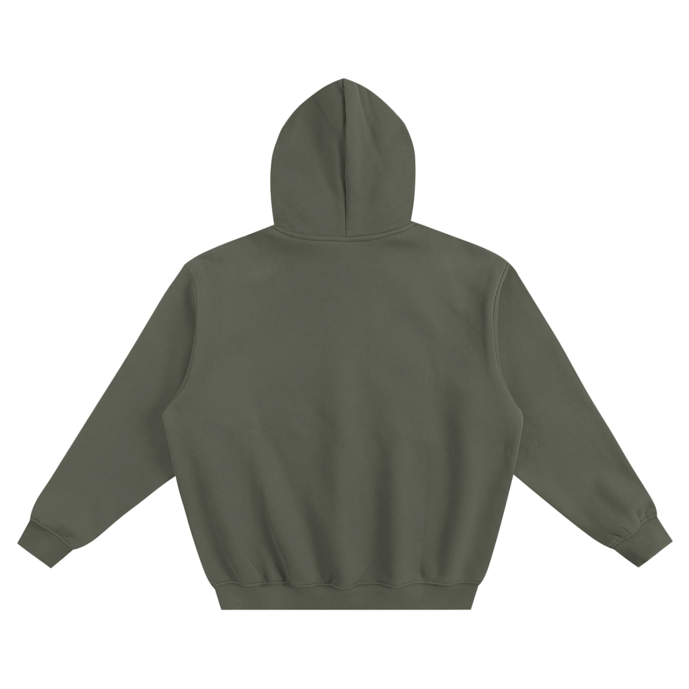 Project Ascend Boxy Hoodie