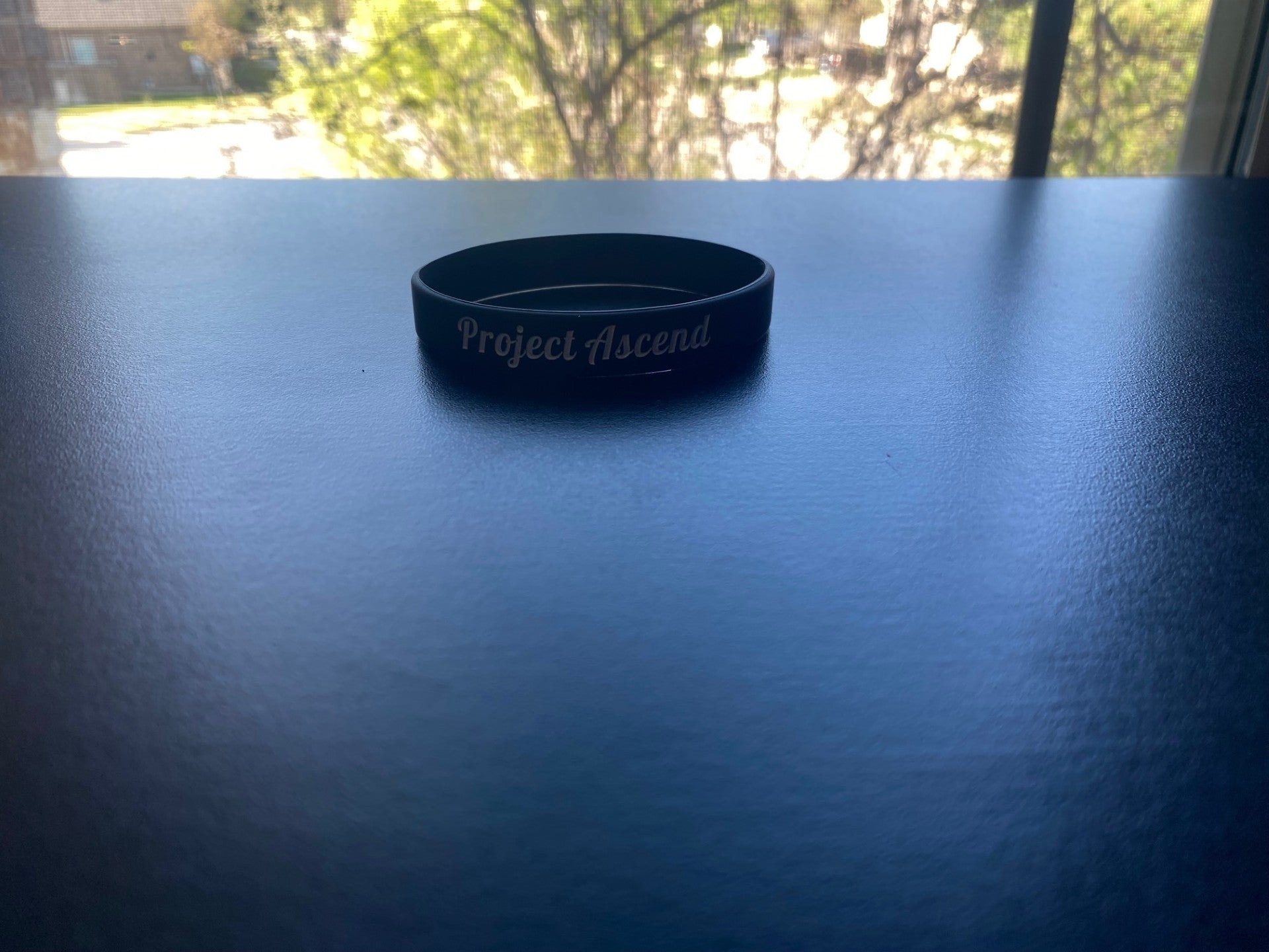 Project Ascend seat band