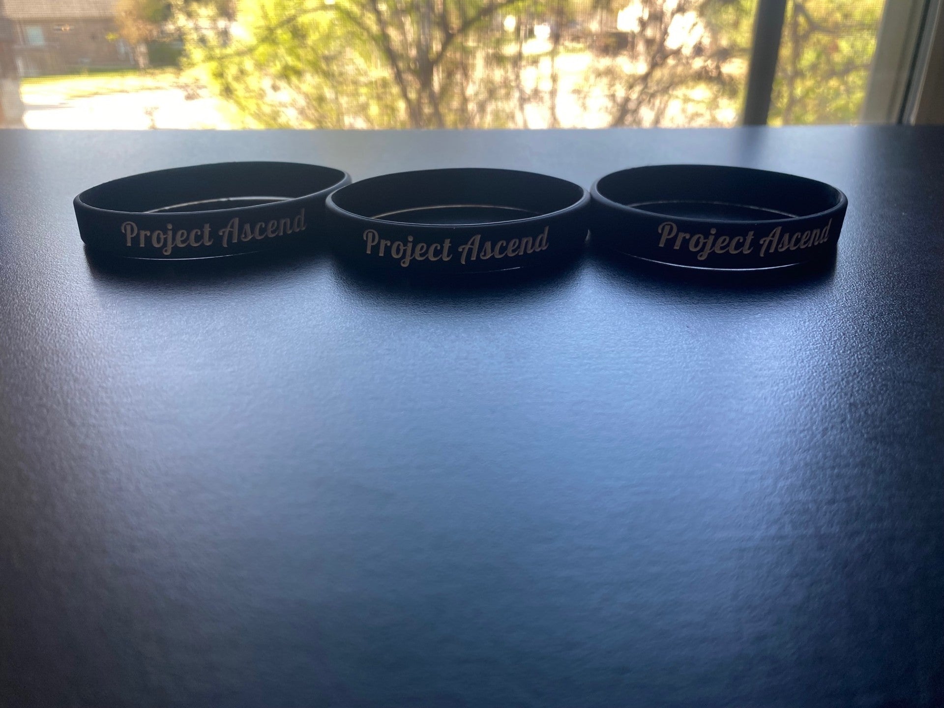 Project Ascend seat band