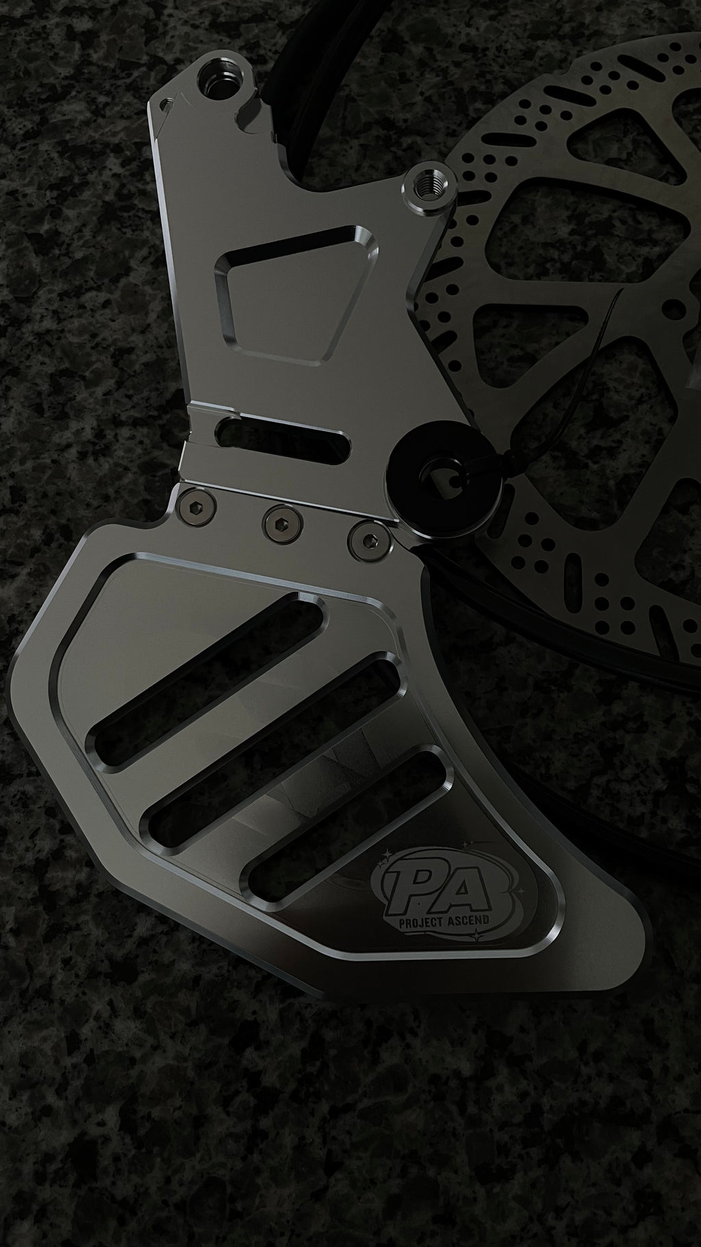 79 bike Ultra bee brakes.