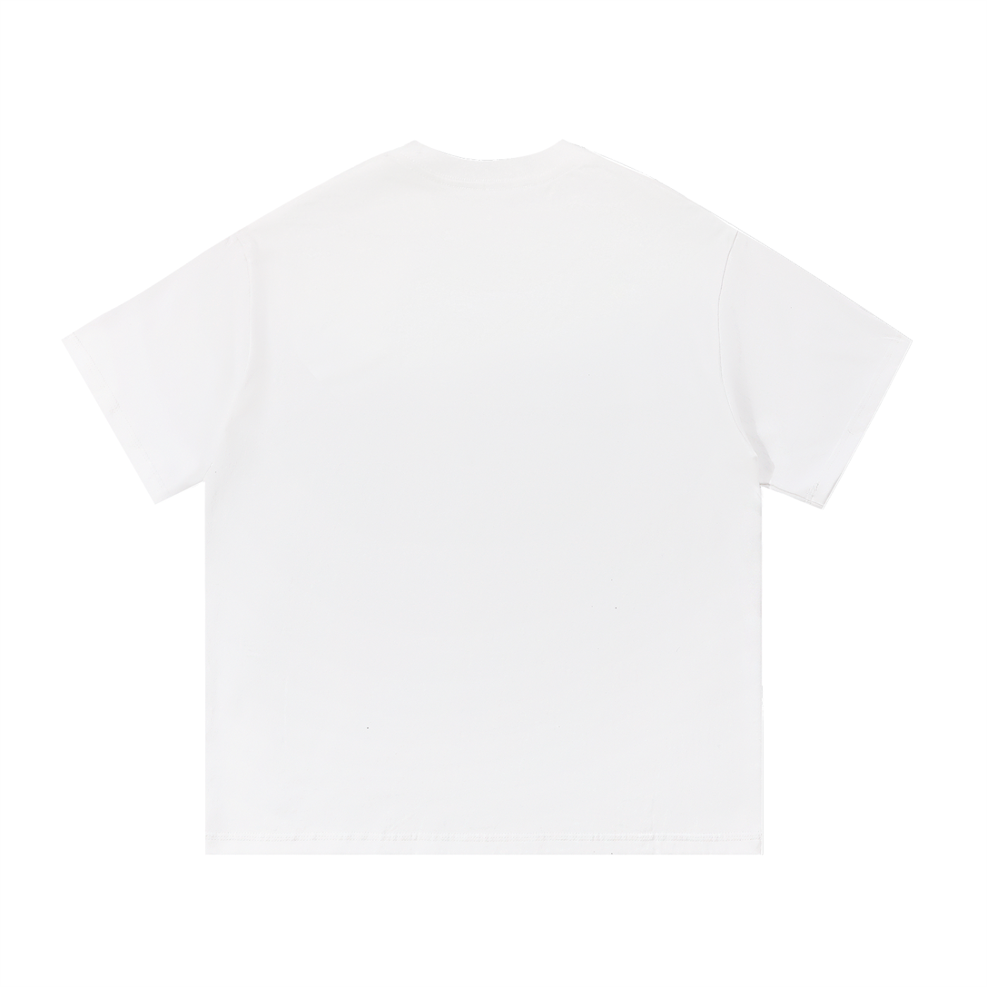 Orginal white Project Ascend tee